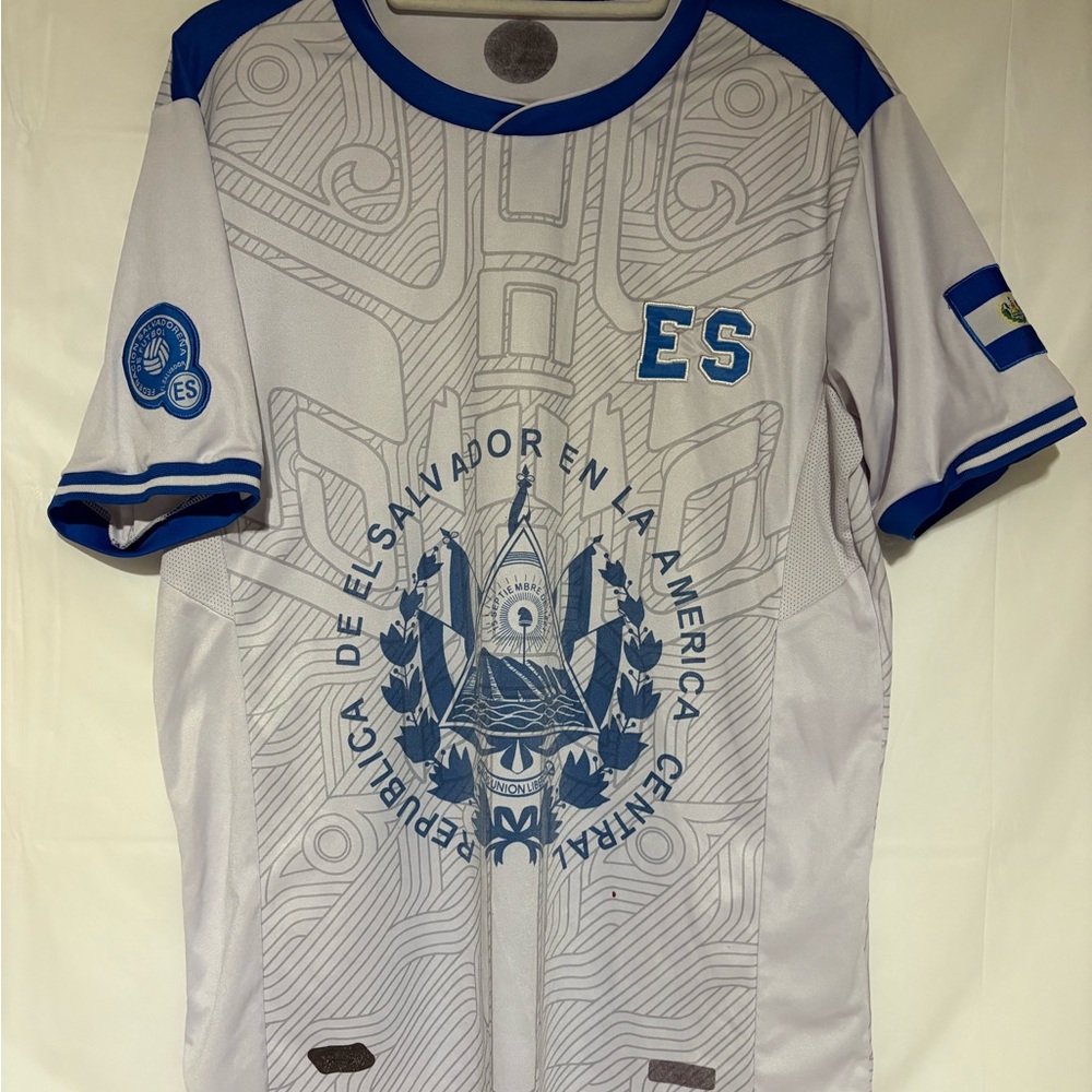 Men's Blue and White Graphic Jersey